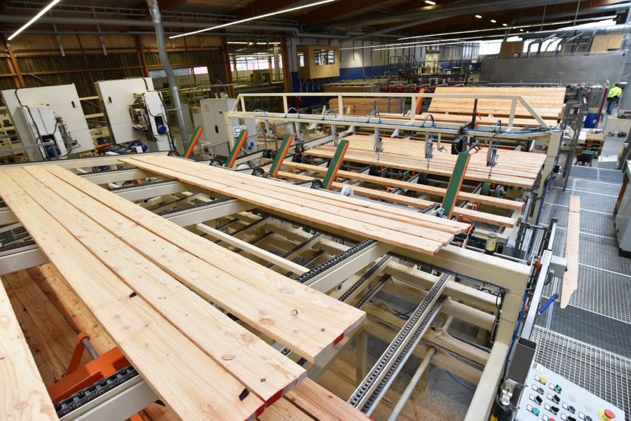 Boards spread across a sorting and grading line